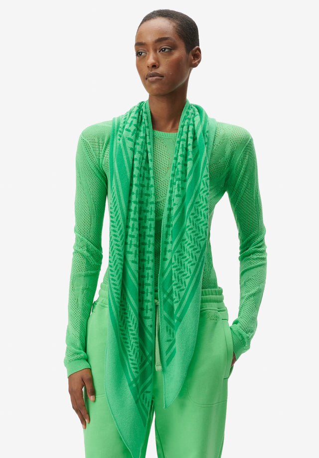 Triangle Trinity Classic M dark apple green - In spring/summer 23's freshest colors, this incredibly soft cashmere scarf...
